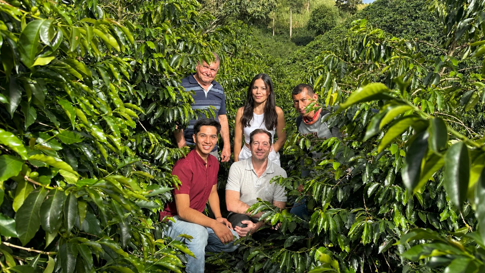 Personas evaluando y compartiendo información sobre una selección de café
