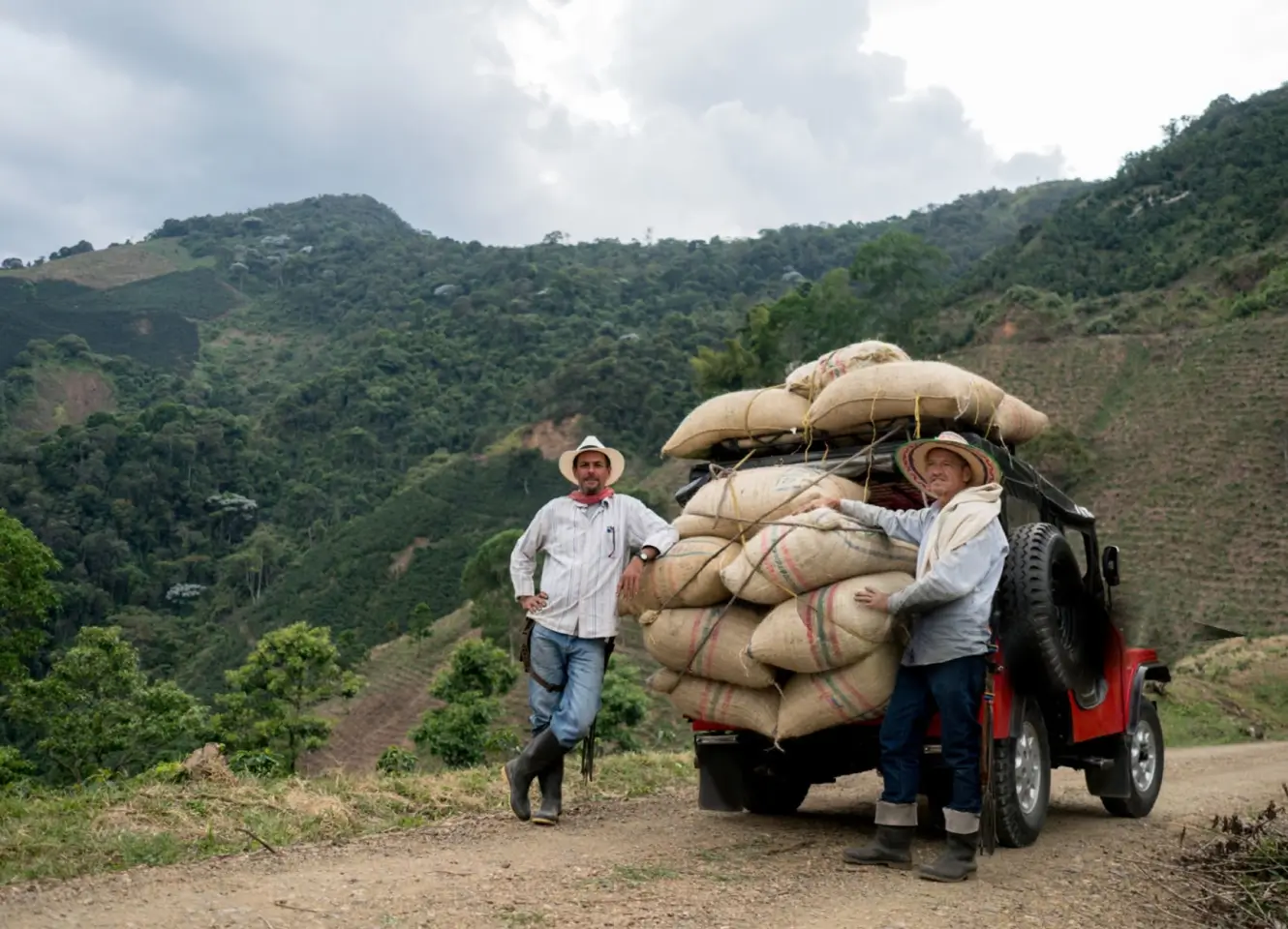 Muestras de café en distintas etapas organizadas junto a información de lote y origen